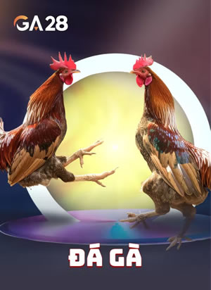 Xì Dách Đôi